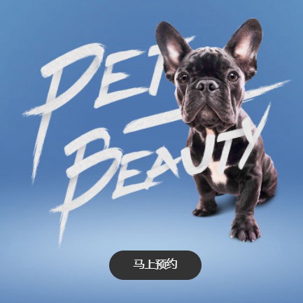 仁怀宠物中心小程序